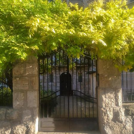 Parkside Large Modern Garden View Apartment Budapest Extérieur photo